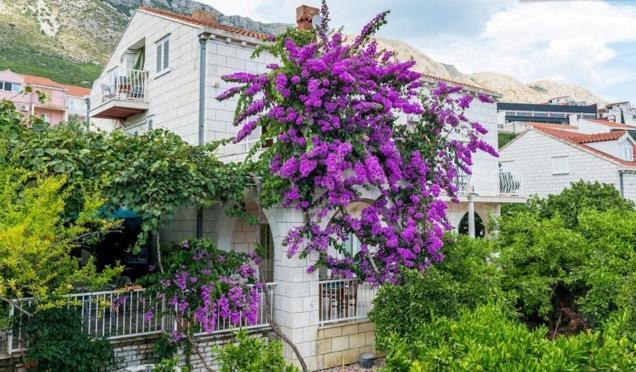 Apartments Husanovic Mokošica Quarto foto